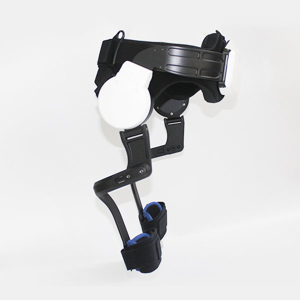 Intelligent walking aid robot