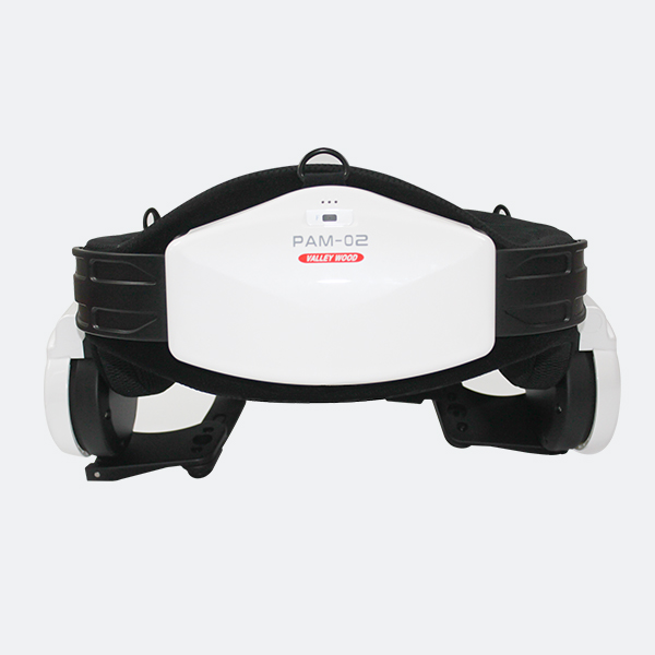 Intelligent walking aid robot